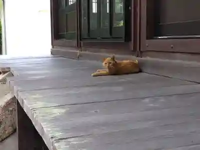 柏木神社(滋賀県)