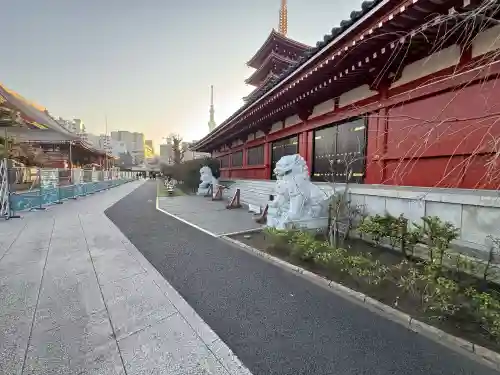 浅草神社の{uncategorized: "未分類", other: "その他", undefined: "問題あり", building: "その他建物", grave: "お墓", sacred_gate: "鳥居", guardian: "狛犬", statue: "像", buddha: "仏像", history: "歴史", nature: "自然", garden: "庭園", animal: "動物", pagoda: "塔", temizu: "手水舎", mountain_gate: "山門・神門", sanctuary: "本殿・本堂", subordinate: "末社・摂社", art: "芸術", scenery: "景色", jizo: "地蔵", ema: "絵馬", goshuin: "御朱印", omikuji: "おみくじ", items: "授与品その他", amulet: "お守り", goshuincho: "御朱印帳", eats: "食事", festival: "お祭り", votive_dance: "神楽", shichigosan: "七五三参", wedding: "結婚式", experience: "体験その他", initially: "初詣", around: "周辺", anti_infection: "感染症対策"}