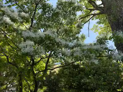 城南宮(京都府)