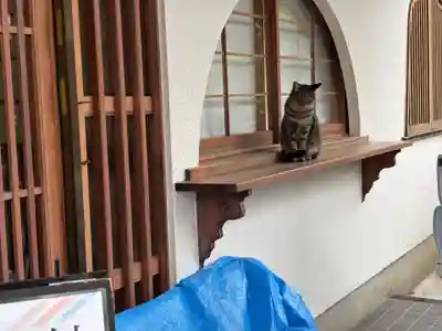 大日寺(大阪府)