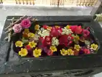 北広島市総鎮守 廣島神社の手水舎