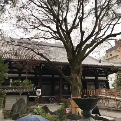 本能寺の本殿・本堂