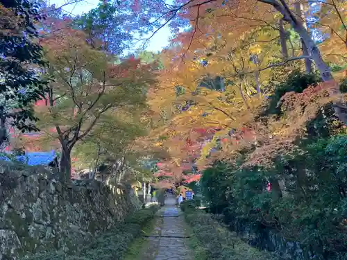 金剛輪寺(滋賀県)