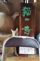 御誕生寺(猫寺)(福井県)