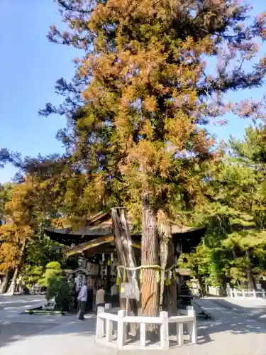 建部大社の{uncategorized: "未分類", other: "その他", undefined: "問題あり", building: "その他建物", grave: "お墓", sacred_gate: "鳥居", guardian: "狛犬", statue: "像", buddha: "仏像", history: "歴史", nature: "自然", garden: "庭園", animal: "動物", pagoda: "塔", temizu: "手水舎", mountain_gate: "山門・神門", sanctuary: "本殿・本堂", subordinate: "末社・摂社", art: "芸術", scenery: "景色", jizo: "地蔵", ema: "絵馬", goshuin: "御朱印", omikuji: "おみくじ", items: "授与品その他", amulet: "お守り", goshuincho: "御朱印帳", eats: "食事", festival: "お祭り", votive_dance: "神楽", shichigosan: "七五三参", wedding: "結婚式", experience: "体験その他", initially: "初詣", around: "周辺", anti_infection: "感染症対策"}