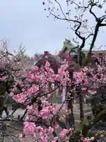 北野天満宮(京都府)