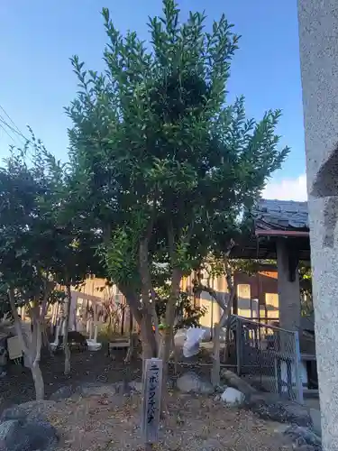 井手神社(愛媛県)