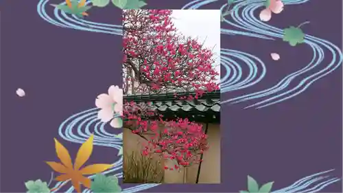 芳林寺(埼玉県)