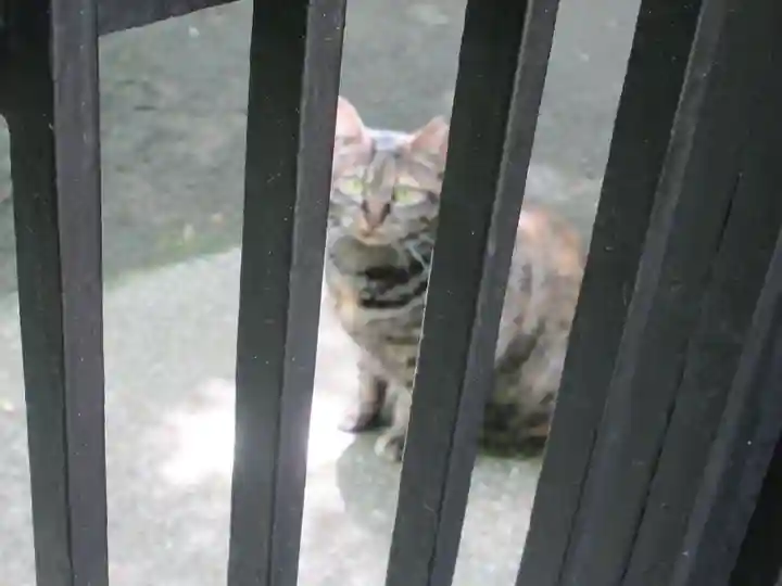 無量寺(東京都)