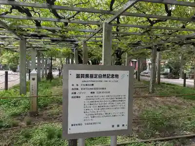 三大神社(滋賀県)