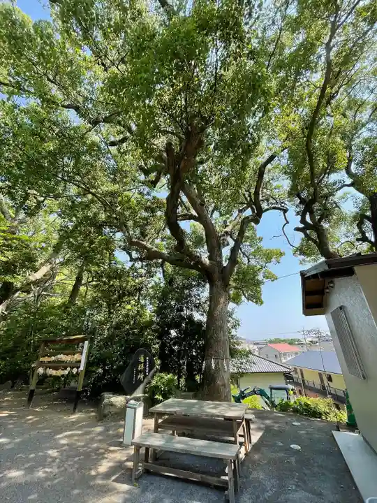 惣社宮(福岡県)