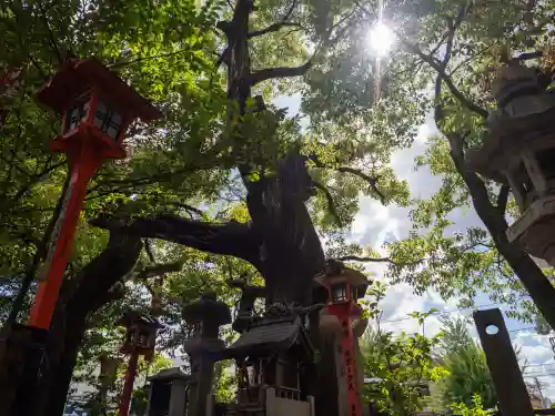 若一神社(京都府)