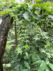 秩父御嶽神社(埼玉県)