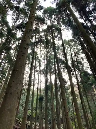 諭鶴羽神社の周辺