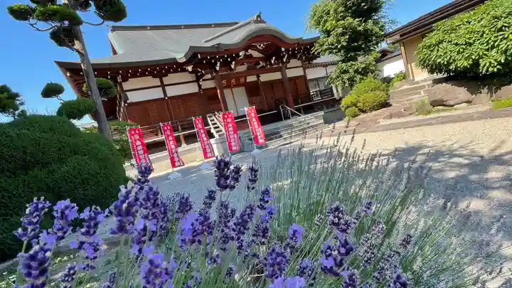 圓應寺の自然