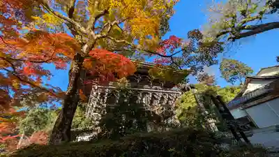 善峯寺(京都府)