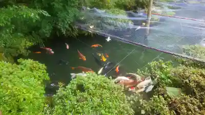 櫻山八幡宮(岐阜県)