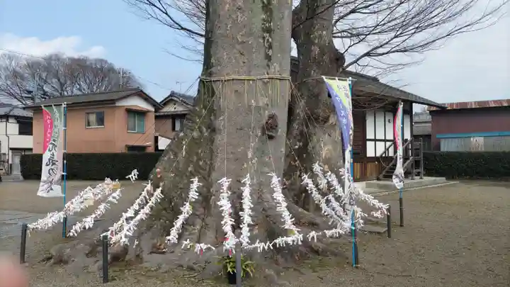 八枝神社(埼玉県)