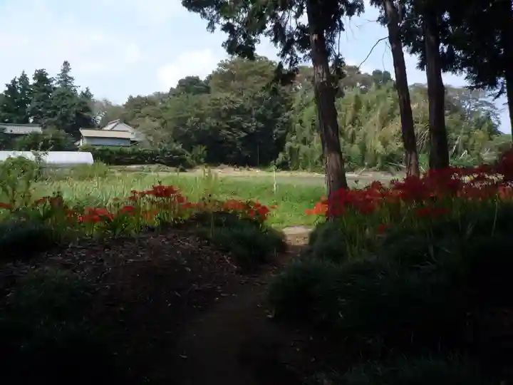 駒形神社(千葉県)