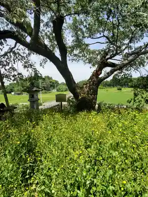 高龗神社の自然