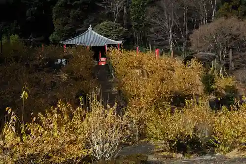 清水寺の庭園