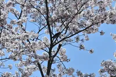 竹之高地不動社(新潟県)