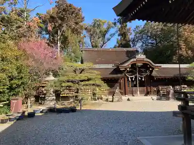 梅宮大社の本殿・本堂