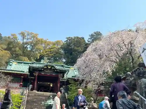 久能山東照宮の{uncategorized: "未分類", other: "その他", undefined: "問題あり", building: "その他建物", grave: "お墓", sacred_gate: "鳥居", guardian: "狛犬", statue: "像", buddha: "仏像", history: "歴史", nature: "自然", garden: "庭園", animal: "動物", pagoda: "塔", temizu: "手水舎", mountain_gate: "山門・神門", sanctuary: "本殿・本堂", subordinate: "末社・摂社", art: "芸術", scenery: "景色", jizo: "地蔵", ema: "絵馬", goshuin: "御朱印", omikuji: "おみくじ", items: "授与品その他", amulet: "お守り", goshuincho: "御朱印帳", eats: "食事", festival: "お祭り", votive_dance: "神楽", shichigosan: "七五三参", wedding: "結婚式", experience: "体験その他", initially: "初詣", around: "周辺", anti_infection: "感染症対策"}