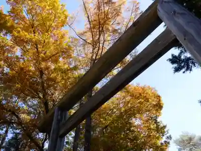 身曾岐神社の鳥居
