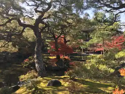 慈照寺（慈照禅寺・銀閣寺）のその他建物