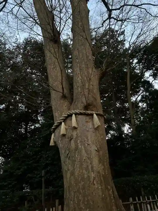長宮氷川神社(埼玉県)