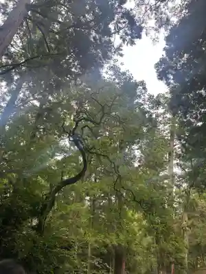伊勢神宮内宮（皇大神宮）(三重県)