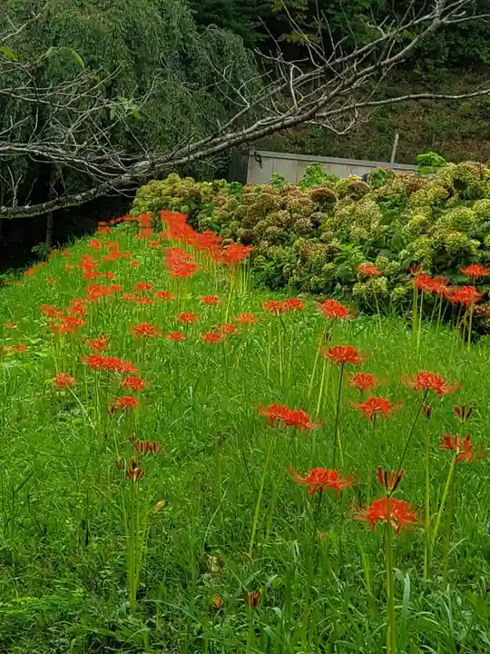 陽林寺(福島県)