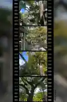 鳴尾八幡神社(兵庫県)