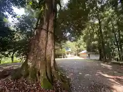 春日神社(福井県)