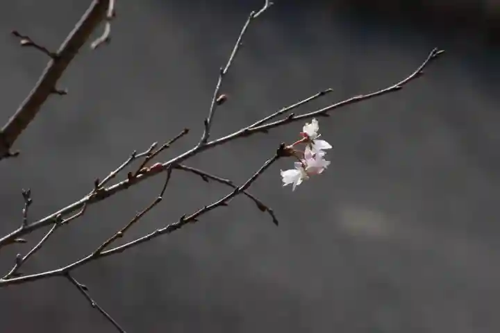 国宝 大法寺(長野県)