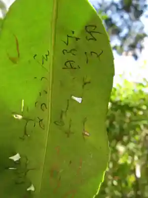 法起院(奈良県)