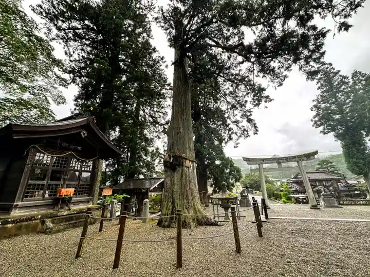 飛驒一宮水無神社(岐阜県)