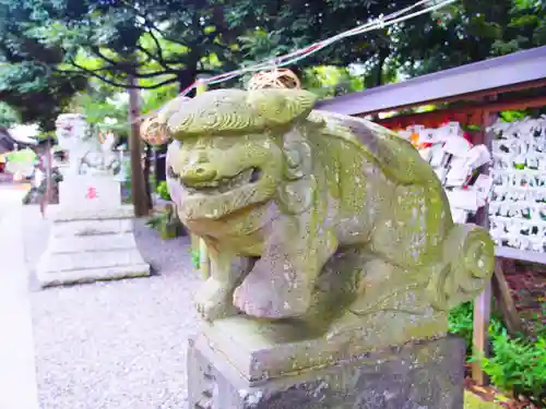 菊田神社の狛犬