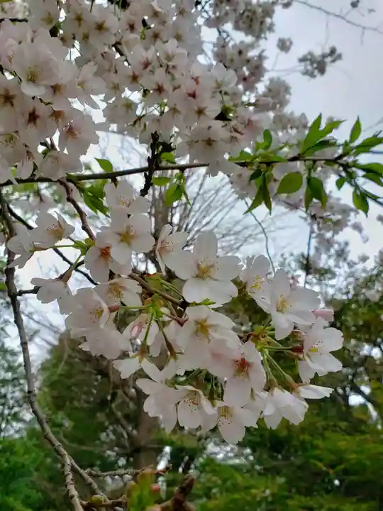 多田神社(東京都)