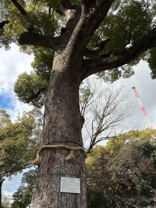 東天神社の自然