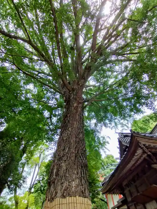 田無神社(東京都)