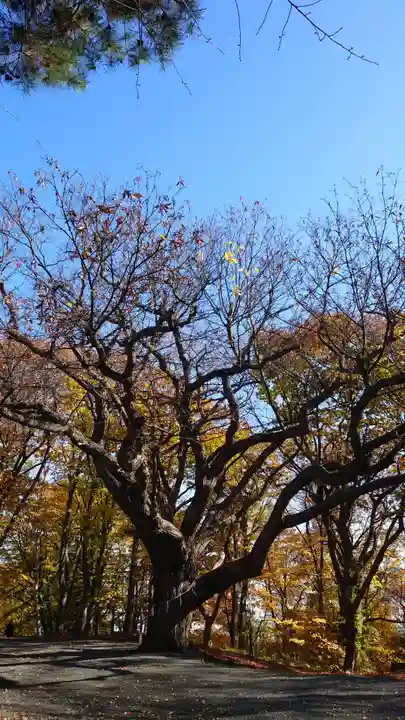 相馬神社(北海道)