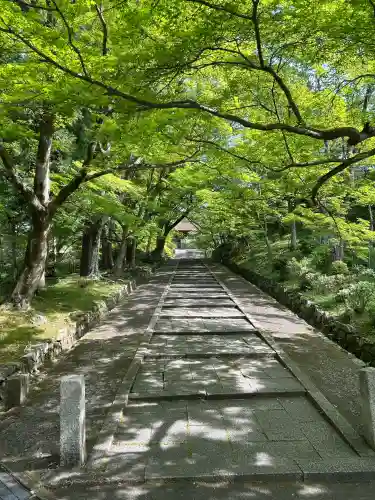 毘沙門堂門跡の{uncategorized: "未分類", other: "その他", undefined: "問題あり", building: "その他建物", grave: "お墓", sacred_gate: "鳥居", guardian: "狛犬", statue: "像", buddha: "仏像", history: "歴史", nature: "自然", garden: "庭園", animal: "動物", pagoda: "塔", temizu: "手水舎", mountain_gate: "山門・神門", sanctuary: "本殿・本堂", subordinate: "末社・摂社", art: "芸術", scenery: "景色", jizo: "地蔵", ema: "絵馬", goshuin: "御朱印", omikuji: "おみくじ", items: "授与品その他", amulet: "お守り", goshuincho: "御朱印帳", eats: "食事", festival: "お祭り", votive_dance: "神楽", shichigosan: "七五三参", wedding: "結婚式", experience: "体験その他", initially: "初詣", around: "周辺", anti_infection: "感染症対策"}