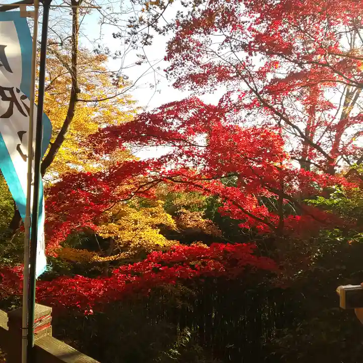 唐澤山神社の自然