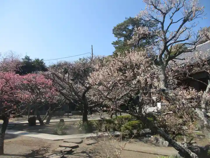 地福寺(神奈川県)