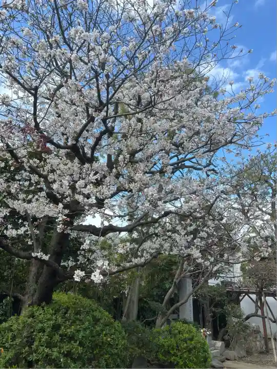 東陽院(東京都)