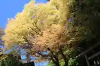 鹿島大神宮の自然