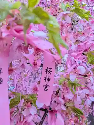 桜神宮(東京都)