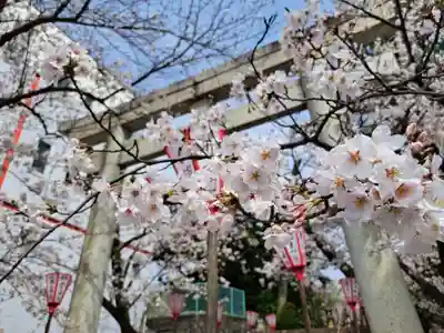 日枝神社(静岡県)